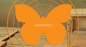 butterfly effect schools